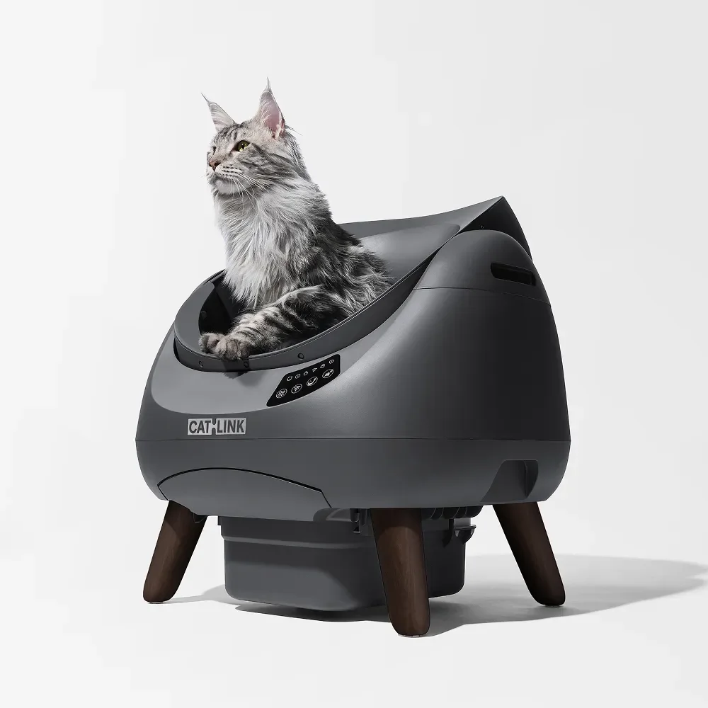 CatLink Scooper OpenX automatic litter box angled view showing the open-top bowl, control panel, and wooden-style legs with a cat inside