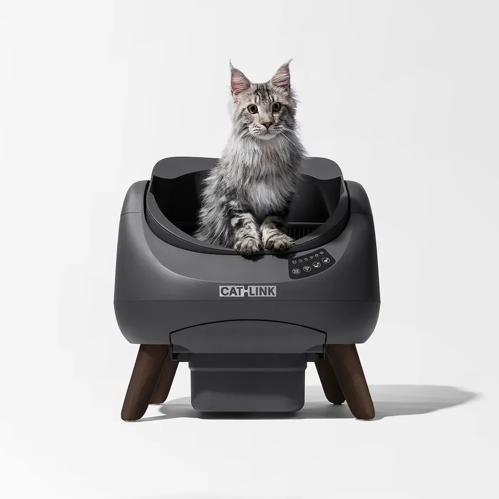 CatLink Scooper OpenX automatic litter box in dark gray, front three-quarter view with a Maine Coon cat sitting inside the open-top bowl