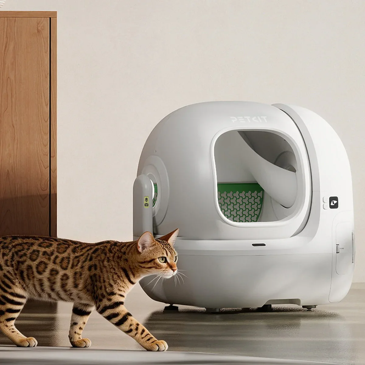 A Bengal cat approaching the PETKIT Purobot Max Pro 2 automatic litter box from the side, showing the full dome shape, wide entry, and AI camera module