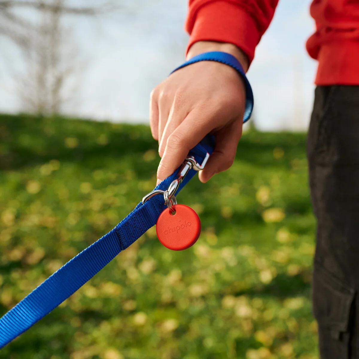 Chipolo POP red tracker attached by its keyring hole and split ring to a dog leash