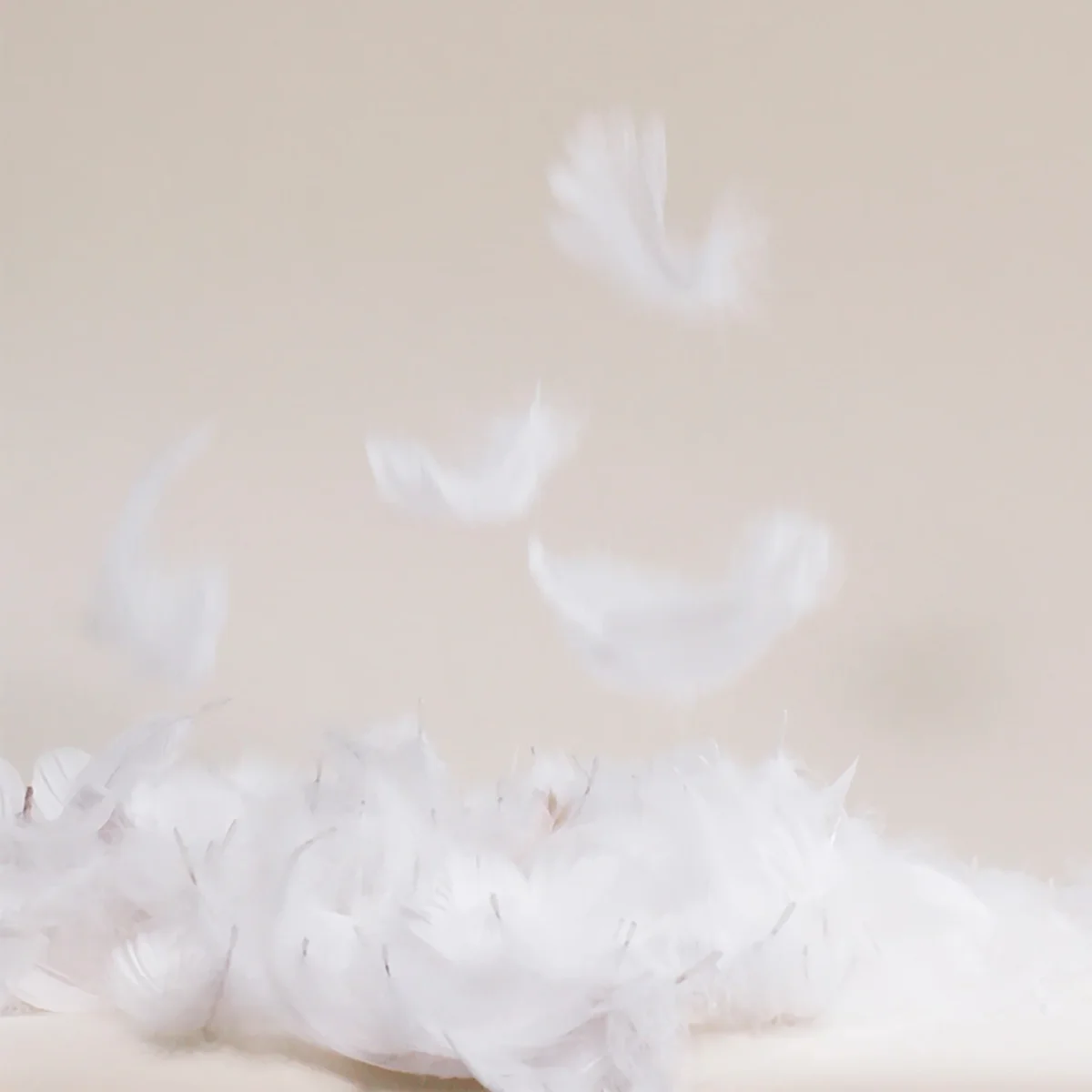 Close-up of the down feather fill used in the Brooklinen Down Comforter