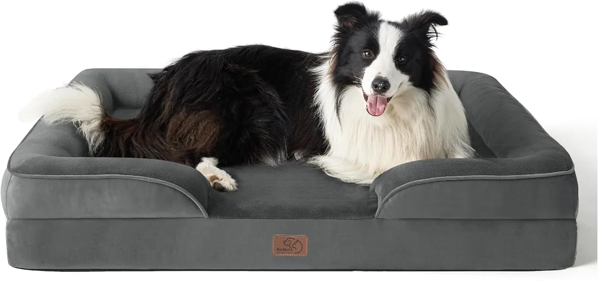 Front view of the gray Bedsure orthopedic sofa-style dog bed showing the raised bolster sides and sherpa-lined base with a Border Collie lying inside