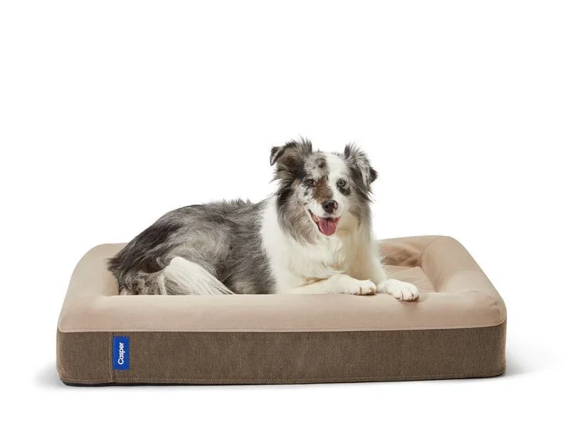 Casper Dog Bed in sand color with a dog lounging on the bolstered cushion, white background studio shot
