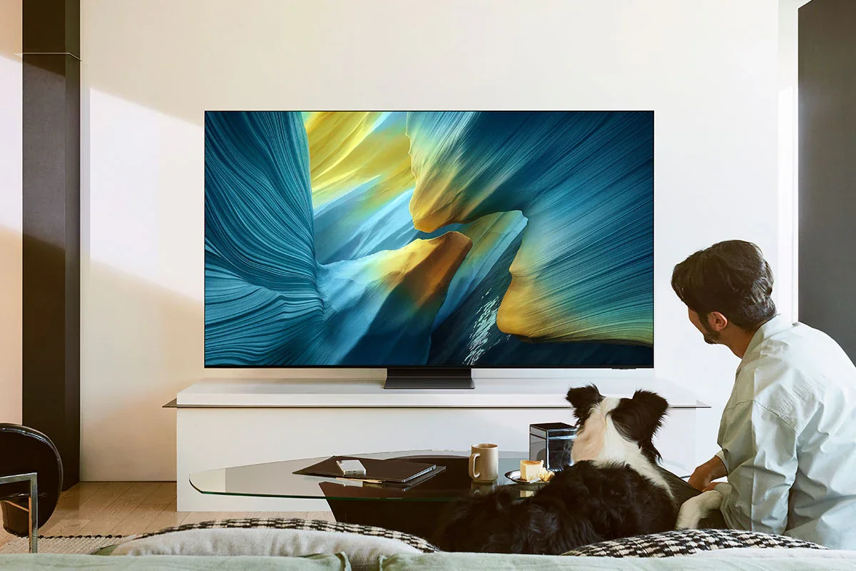 Samsung S95F mounted in a bright sunlit living room demonstrating the Glare Free screen technology