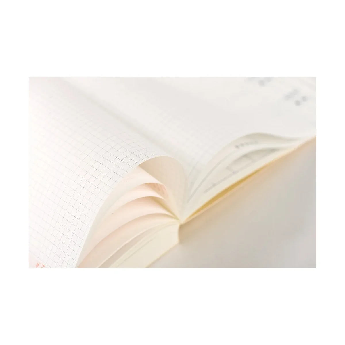 Close-up of the Hobonichi Techo Cousin's thin Tomoe River grid paper with pages fanned open