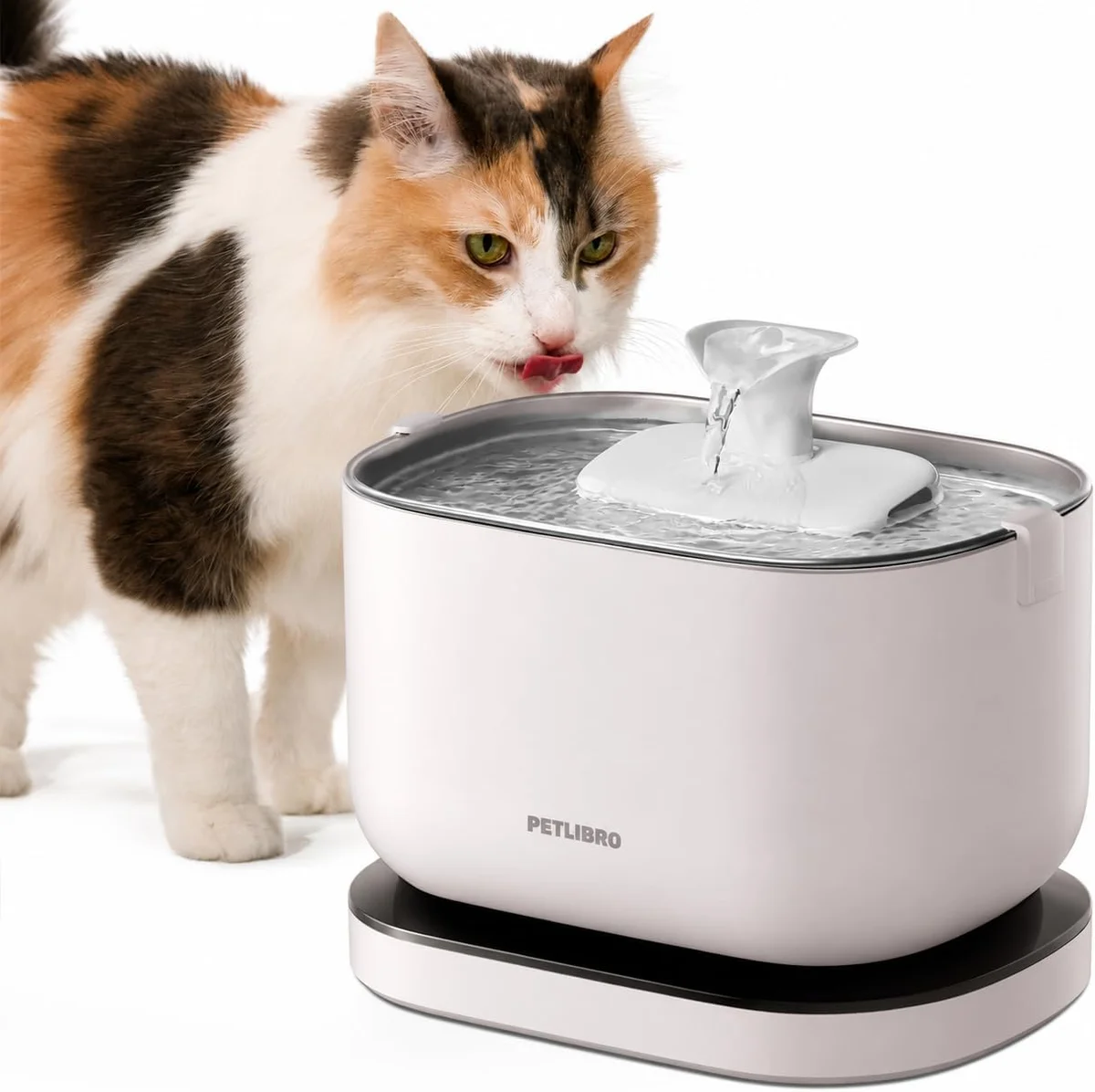 Calico cat drinking from the white PETLIBRO Dockstream fountain, showing the raised stainless steel tray and flowing water in use
